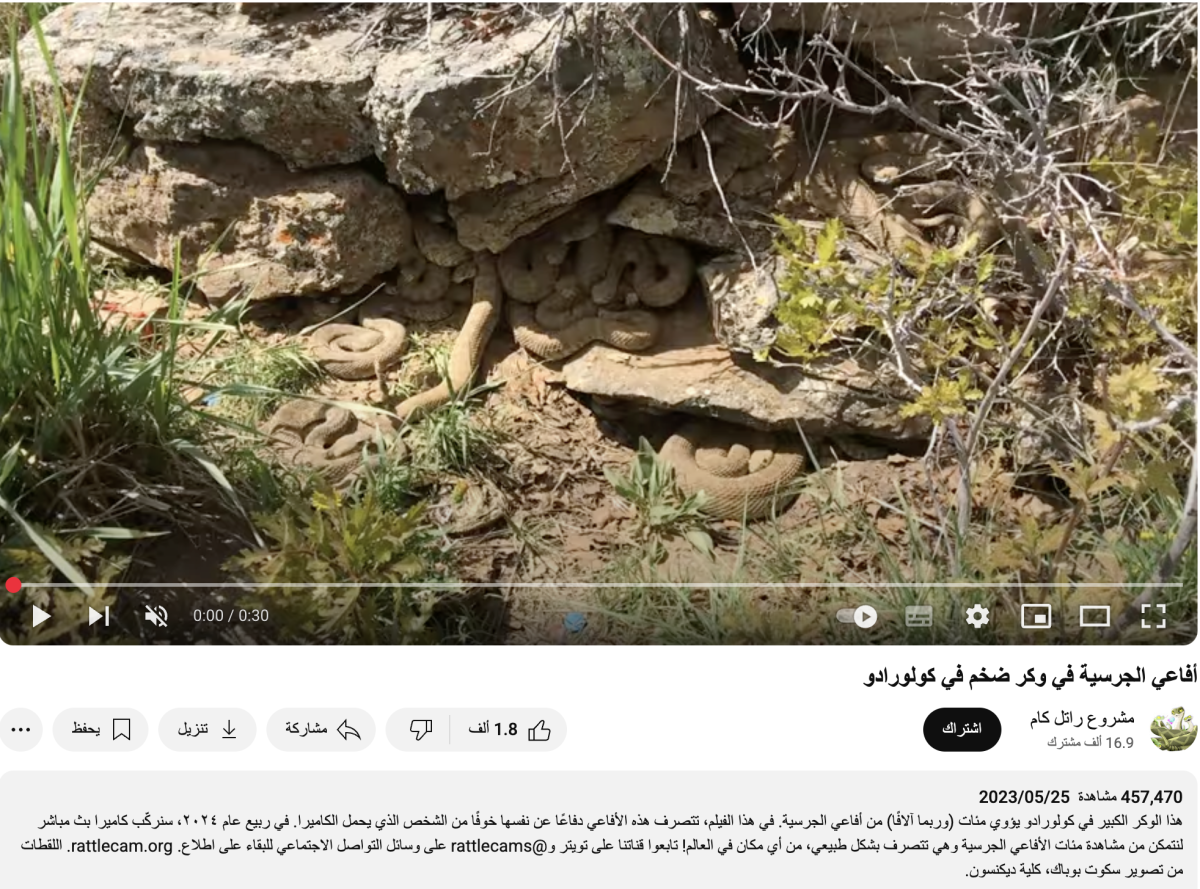 وكر الأفاعي ليس في اليمن بل في ولاية كولورادو بأمريكا