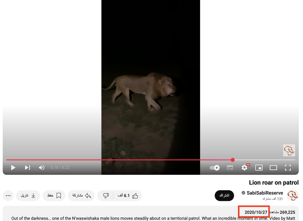 ما حقيقة ظهور أسد في الضالع