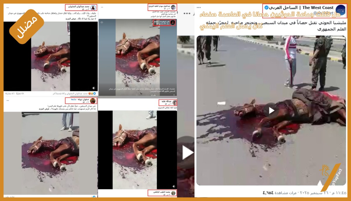 هل قتلت جماعة الحوثيين حصانا  في العاصمة صنعاء كان يحمل العلم اليمني